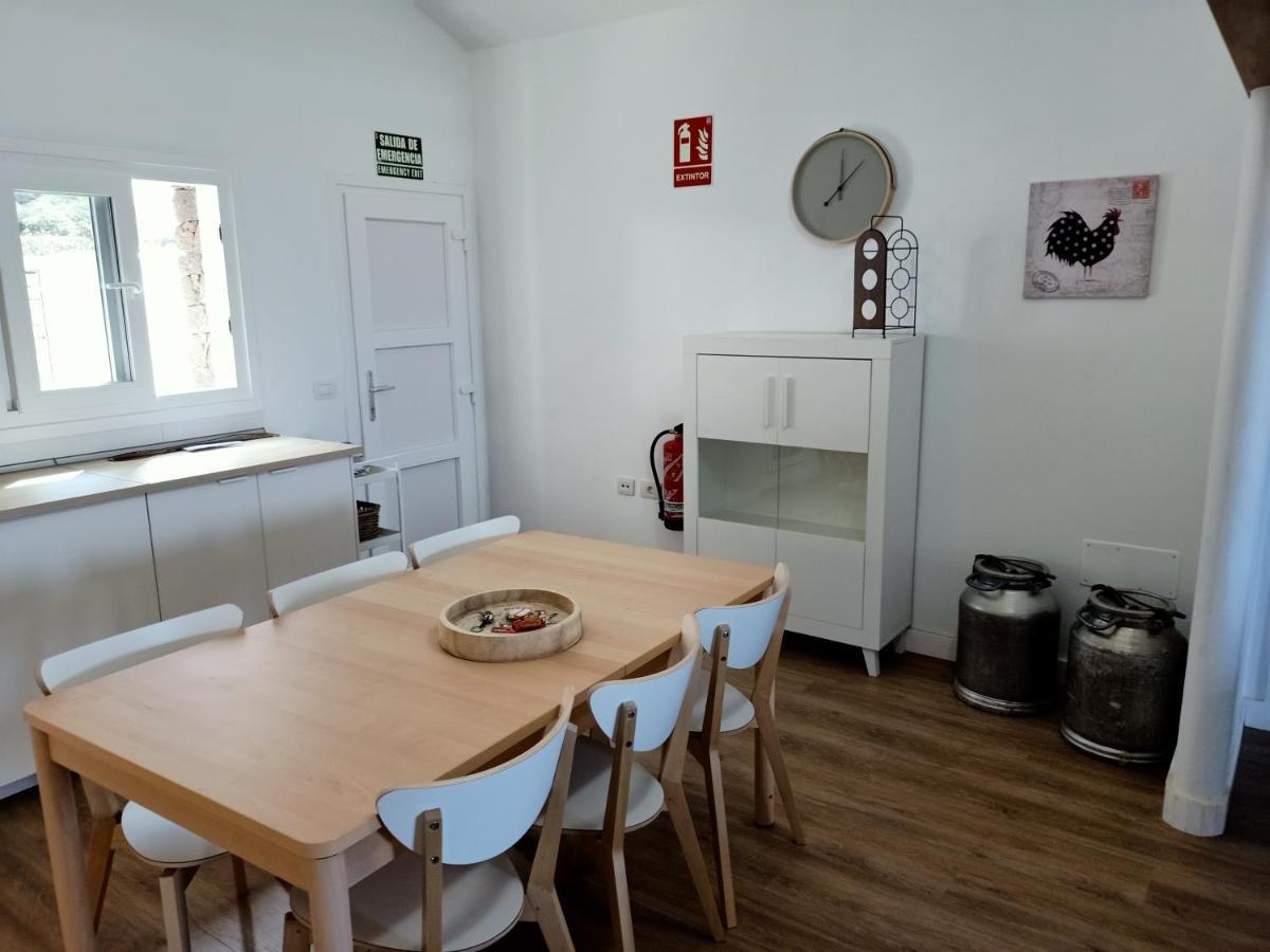 Hébergement de vacances Gallotia Las Puntas